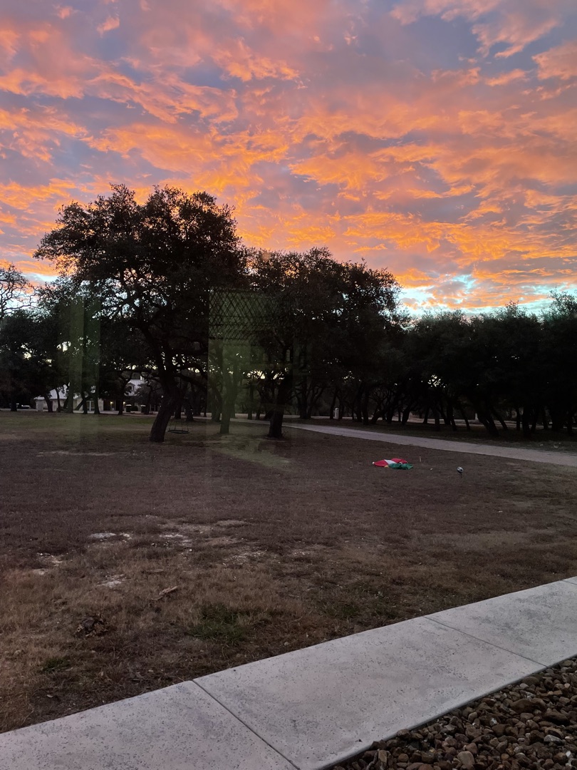Hill Country sunset over live oak trees in Saratoga Hills, Dripping Springs